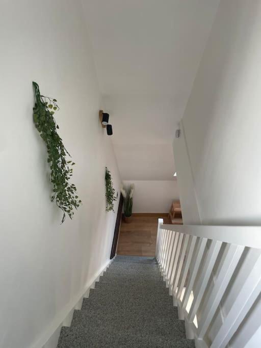 Duplex Bord De L'Eure - Parking Inclus - Jolie Vue Sur La Cathedrale Apartment Chartres Exterior photo